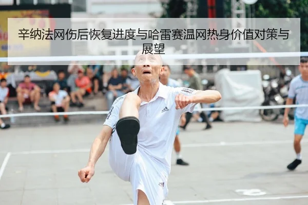 xin-na-fa-wang-shang-hou-hui-fu-jin-du-yu-ha-lei-sai-wen-wang-re-shen-jia-zhi-dui-ce-yu-zhan-wang-1-146.jpg