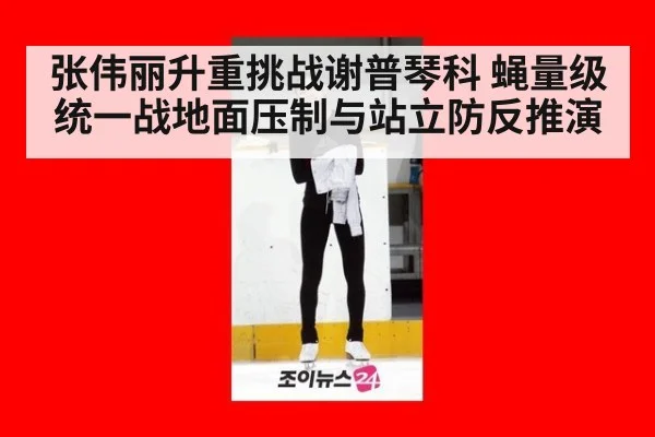 张伟丽升重挑战谢普琴科 蝇量级统一战地面压制与站立防反推演